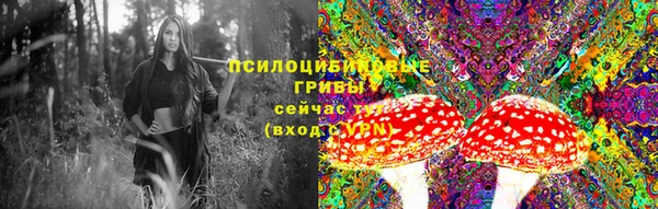 каннабис Баксан
